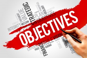 Business litigation objectives